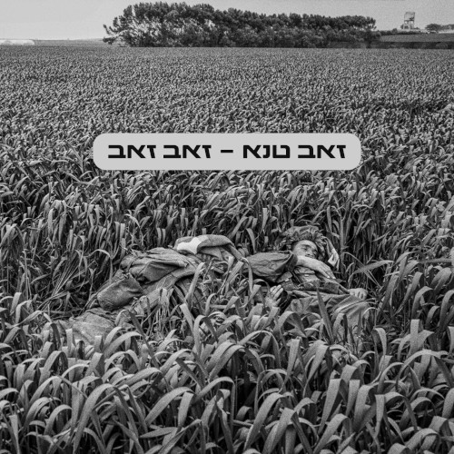 זאב זאב
