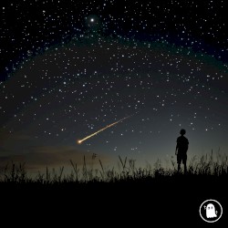 Sleepless Stars