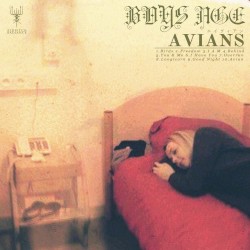 Avians