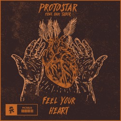 Feel Your Heart