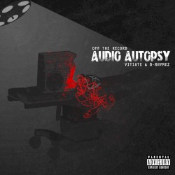 Audio Autopsy