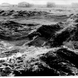 Natural disaster vol. 3: Flood