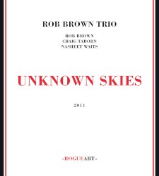 Unknown Skies
