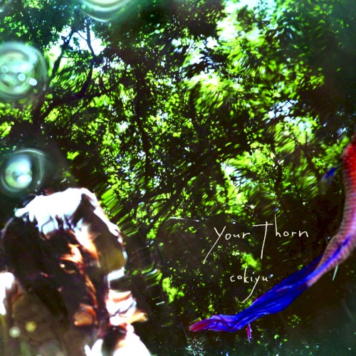 Your Thorn