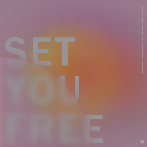 Set You Free (Moods remix)