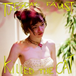 KILLED THE CAT