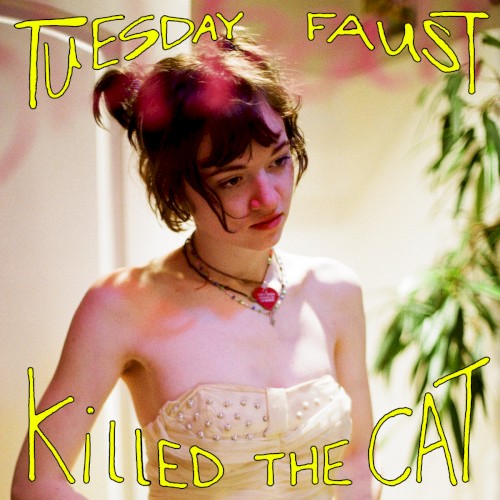 KILLED THE CAT