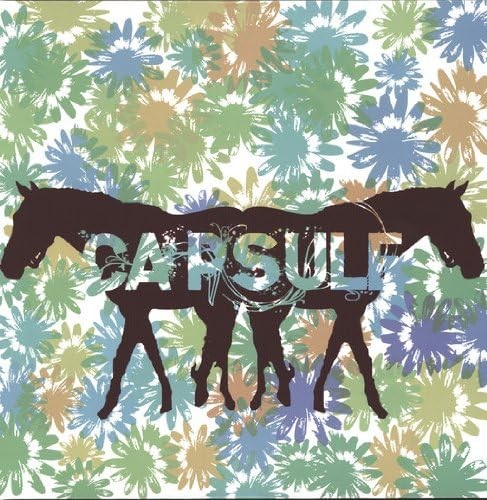 Capsule