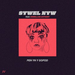 Pen Yn Y Gofod