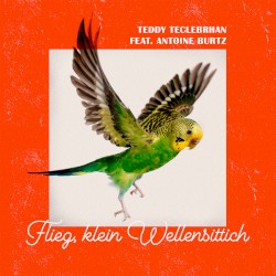 Flieg, klein Wellensittich
