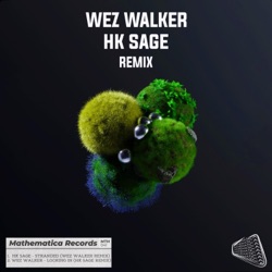 Remix