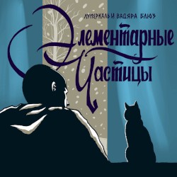 Элементарные частицы