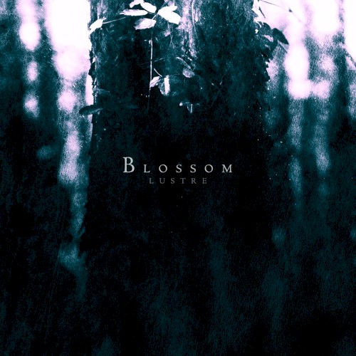 Blossom