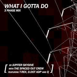 What I Gotta Do [3 Phase Mix]