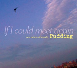 If I Could Meet Again