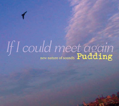 If I Could Meet Again