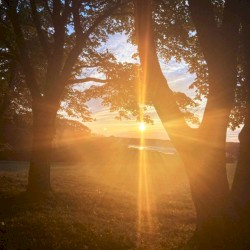 Sun Language