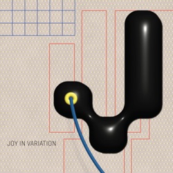 Joy In Variation