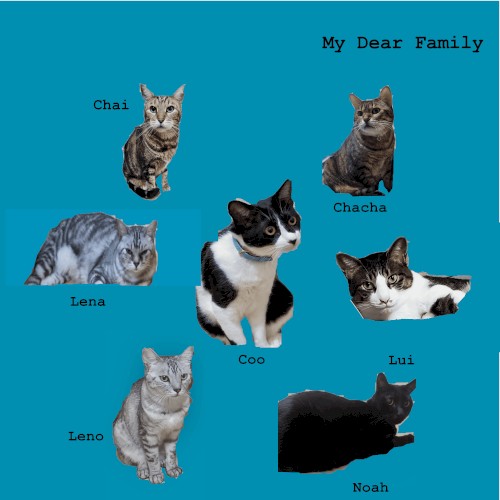 My Dear Family