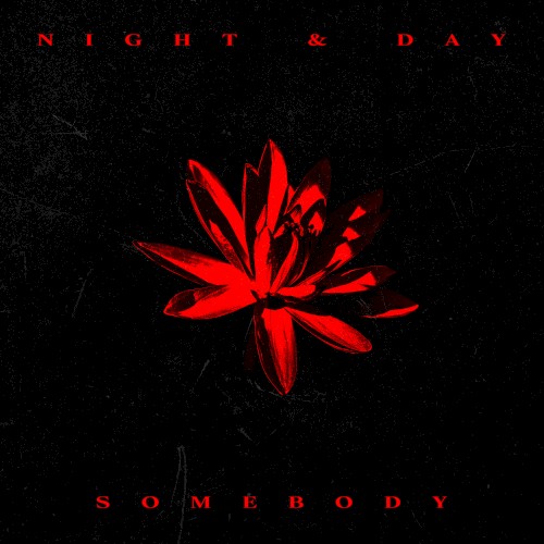 Night & Day / Somebody