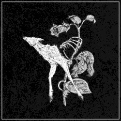 World of Decay