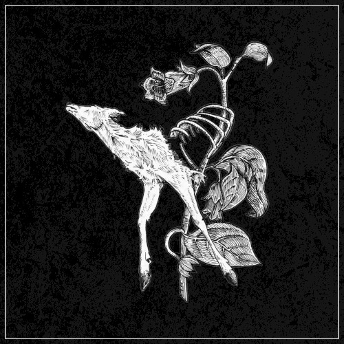 World of Decay