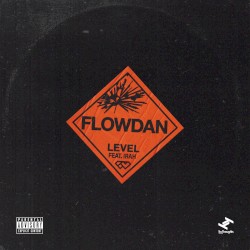 Level