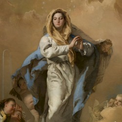 Immaculata