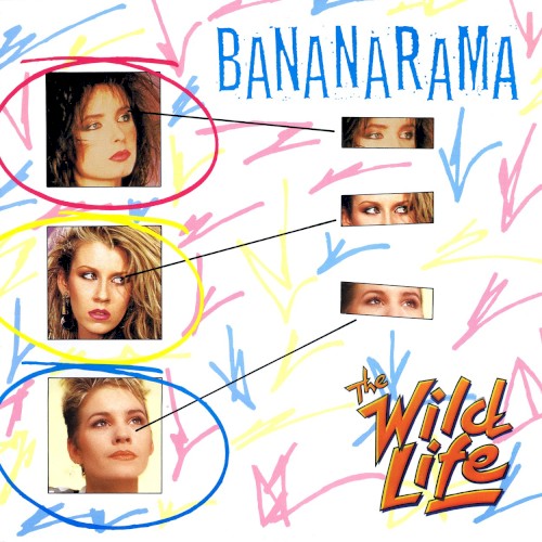 The Wild Life