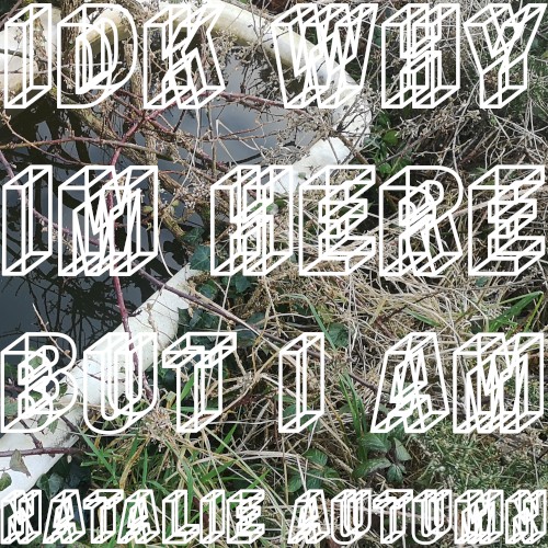idk why im here but i am