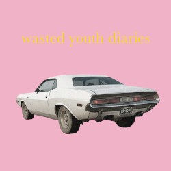 wasted youth diaries