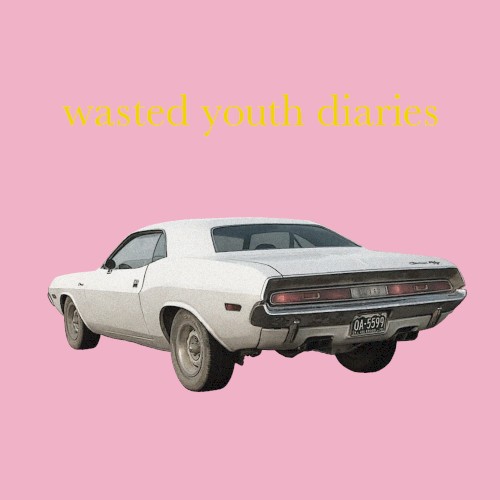 wasted youth diaries