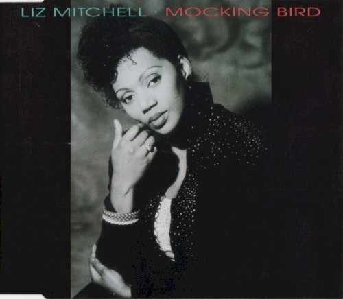 Mocking Bird