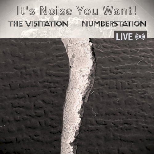 It’s Noise You Want!