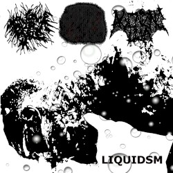 LIQUIDSM