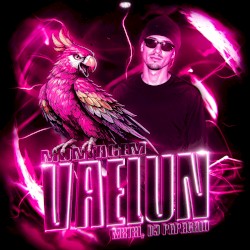 MONTAGEM VAELUN