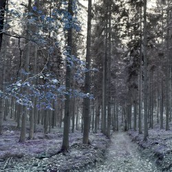 Fragments EP