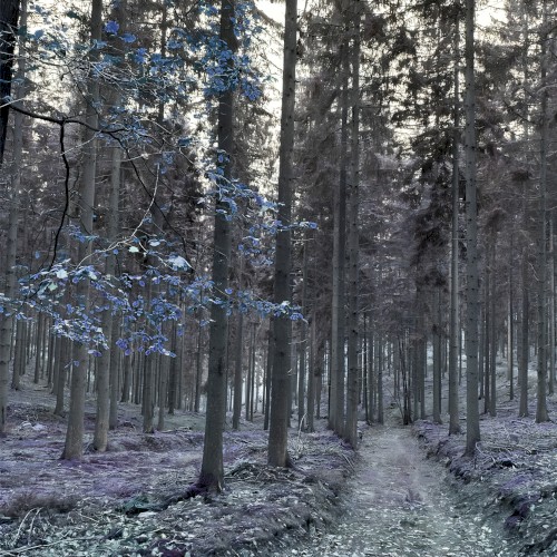 Fragments EP