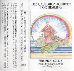 The Cauldron Journey for Healing