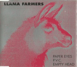 Paper Eyes