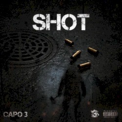 Shot