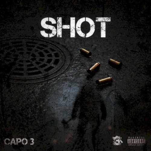 Shot