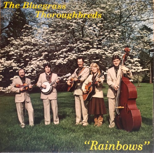 Rainbows