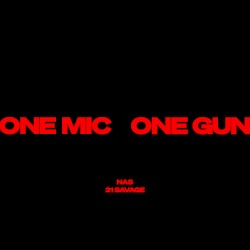 One Mic, One Gun