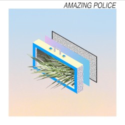 Amazing Police