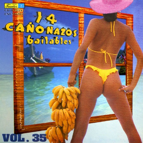 14 cañonazos bailables, vol. 35