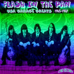 USA Garage Greats 1965-1967: Vol. 42: Flash in the Pan