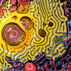 The Phenomenon of Memory