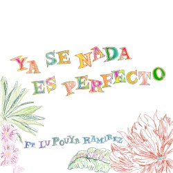 Ya se nada es perfecto