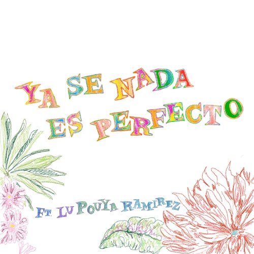 Ya se nada es perfecto